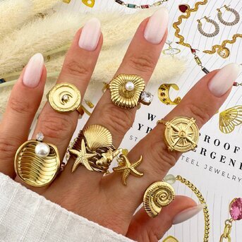 "Compass" Ring, 18K Gold Plated Steel