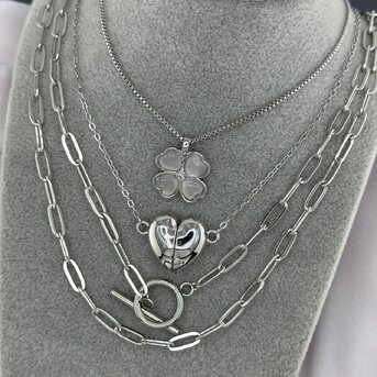 Stainless steel  "Heart" necklace, Intensity