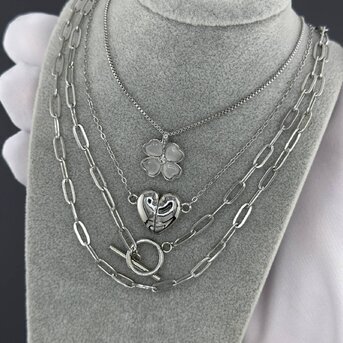 Stainless steel  "Heart" necklace, Intensity