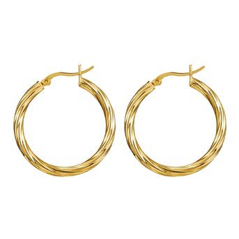 18K gold plated Stainless steel earrings, Intensity