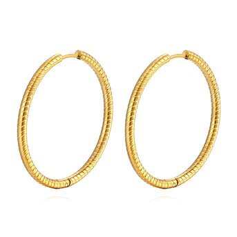 18K gold plated Stainless steel earrings, Intensity