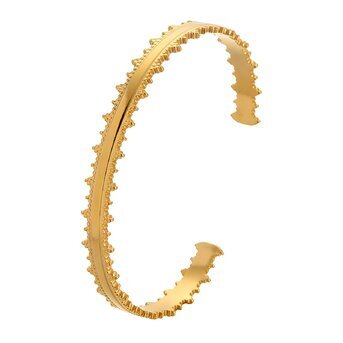 18K gold plated Stainless steel bracelet, Intensity