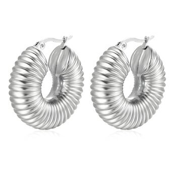 Earrings, Stainless Steel