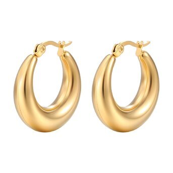 18K gold plated Stainless steel earrings, Intensity