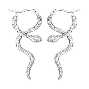 Stainless steel  "Snake" earrings, Intensity