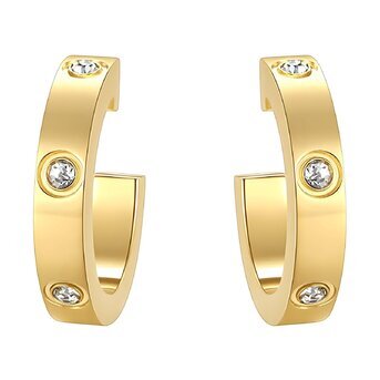 18K gold plated Stainless steel earrings, Intensity