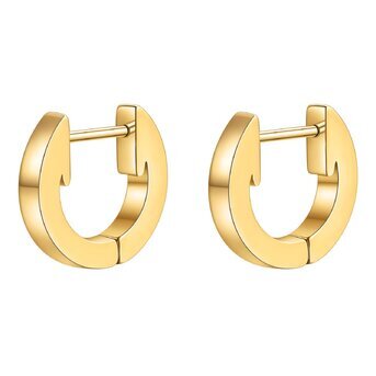 18K gold plated Stainless steel earrings, Intensity