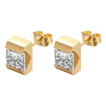 18K gold plated Stainless steel earrings, Intensity