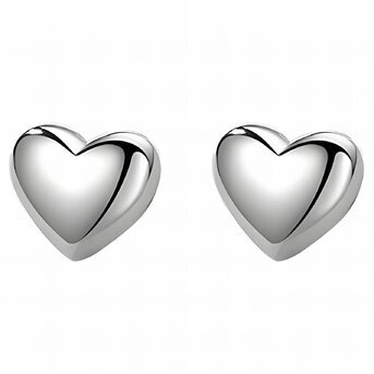 Stainless steel  "Hearts" earrings, Intensity