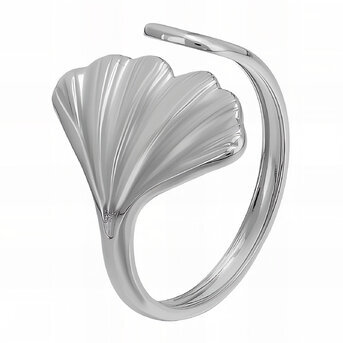 Ring, Stainless Steel