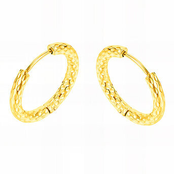 Earrings, 18K Gold Plated Steel