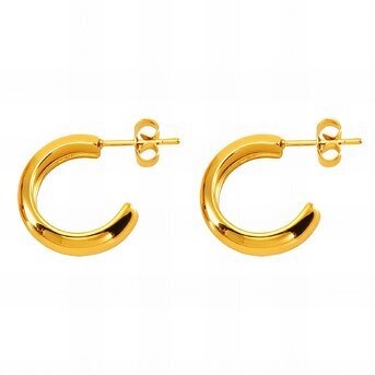 18K gold plated Stainless steel earrings, Intensity