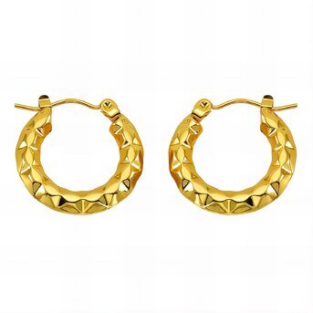 18K gold plated Stainless steel earrings, Intensity