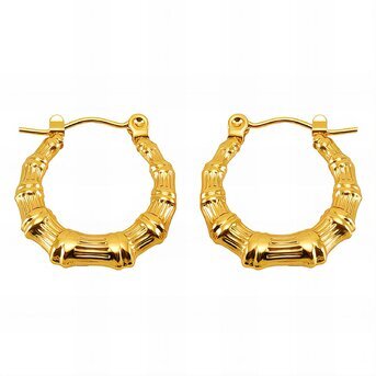 18K gold plated Stainless steel earrings, Intensity