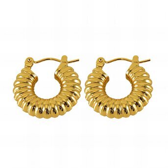 18K gold plated Stainless steel earrings, Intensity