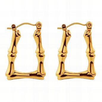 18K gold plated Stainless steel earrings, Intensity