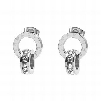 Stainless steel earrings, Intensity