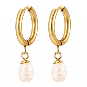 Earrings, 18K Gold Plated Steel