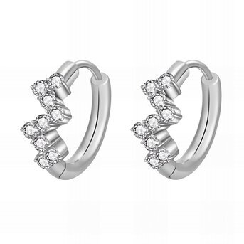 Stainless steel earrings, Intensity