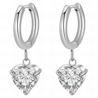 Stainless steel  "Heart" earrings, Intensity